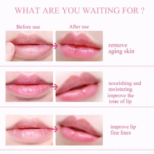 الكريم الكوري المعالج للشفايف عرض قطعتين- Laneige Lip Sleeping Mask - Image 3
